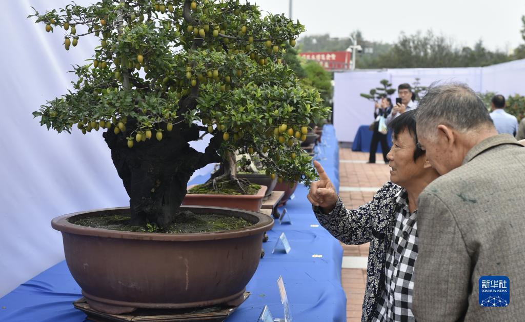正规的网投平台